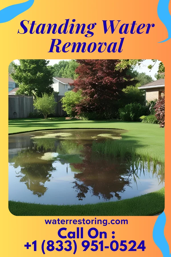 Standing Water Removal in Douglassville, TX